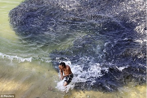 ī���纣̲���� �ο�����Ⱥɧ�ţ�ͼ��