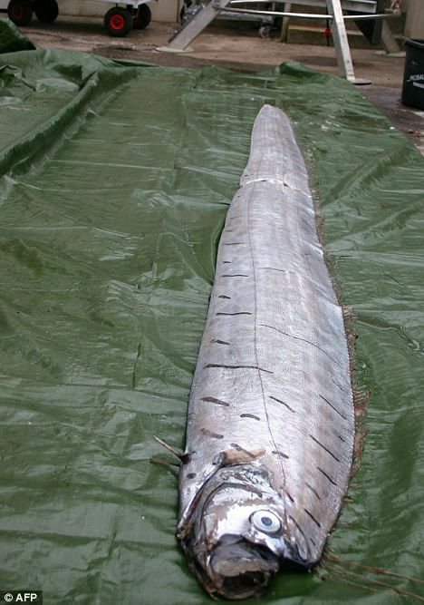 ����֮�� ������������������� ����Ȥ�£�ͼ