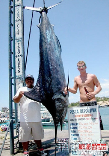 ������������� �������ޱ�_����Ȥ��