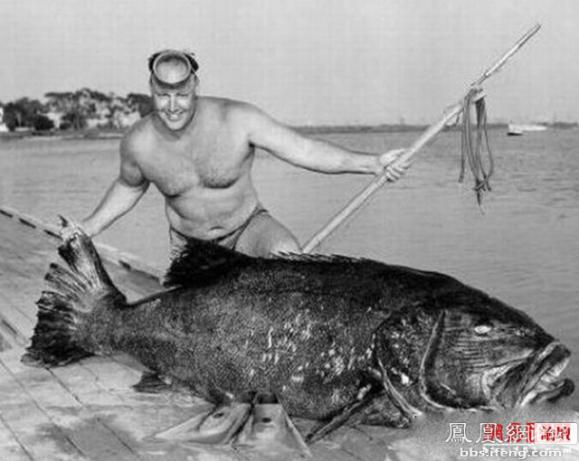 ������������� �������ޱ�_����Ȥ��