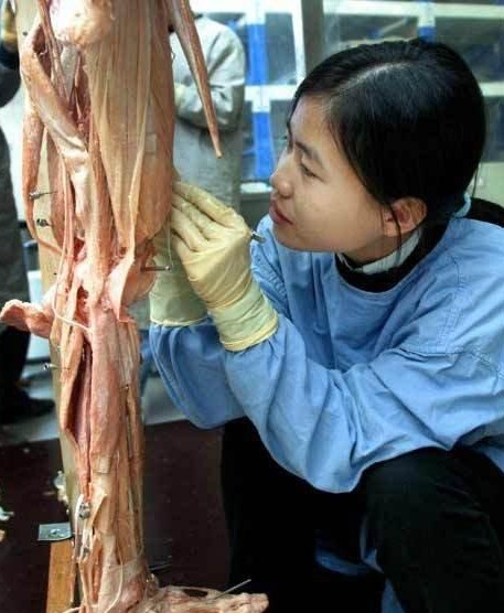 ʬ�岩��� ����ʬ��ӹ��ֳ� ��С���룡