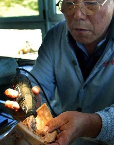 ʬ�岩��� ����ʬ��ӹ��ֳ� ��С���룡