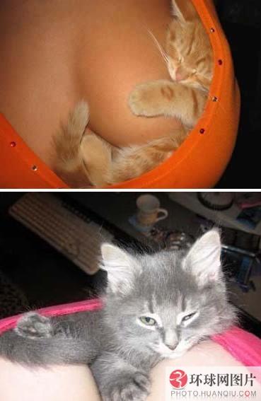 ���ز��������Ŀ���� ��ЦͼƬ