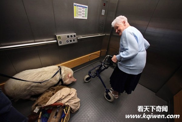 ʵ�Ķ�����Ȥ˲�䣬�ȷ���