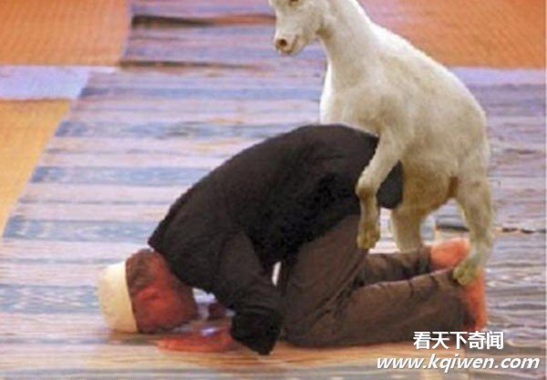 �����İ��ĳ��ͳ��� ǿ����������ͼ�̵�(��ͼ)