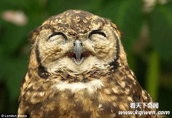 ������Ц���˵ĺ�Ц����