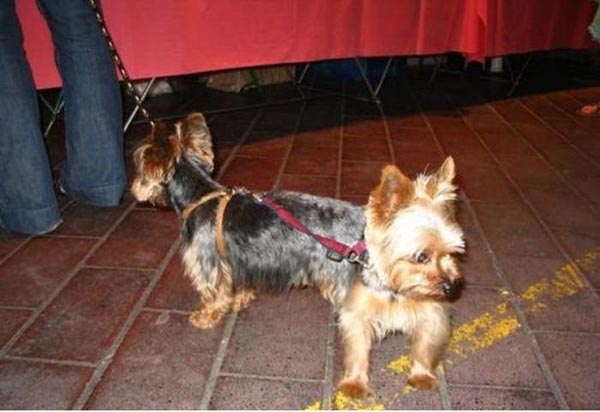 ÿһ�ż�Ʒ����ͼƬ���������Ҳ�һ��(������ͼ89P)