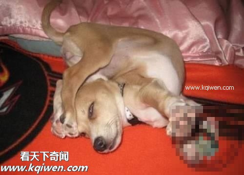 ��Ϊ���ޣ��ҵ�ѹ��Ҳ�ܴ�