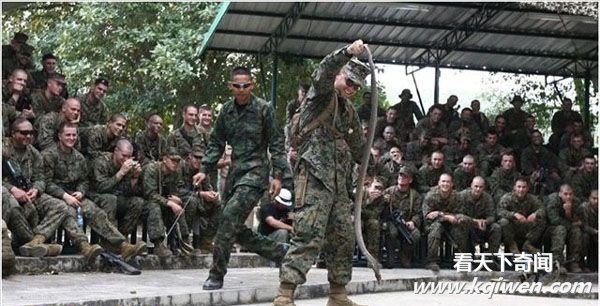 ������������Ы���������� ��Ů���ε�(��ͼ)