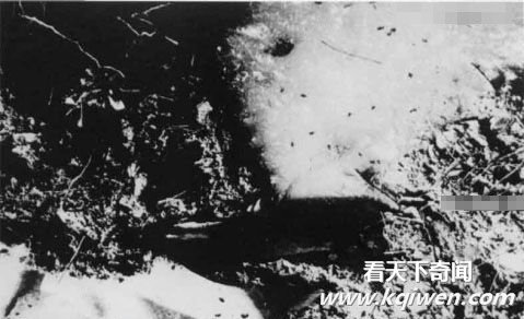 �ҿ�����Ԯ���еķ�ϸ��ս(��ͼ)